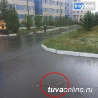 На территории Перинатального центра в Кызыле ползала змея