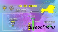 На 29 июля в Туве выявлено 169 новых случая заболевания коронавирусом, изменилось число умерших