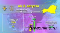 Эпидситуация по коронавирусу в Туве   на 8 августа 