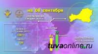 В Туве за прошедшие сутки выявлено 63 новых случая заболевания Covid-19 (сутками ранее - 58)