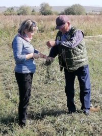 Ученые помогают сельхозпредприятиям Тувы в борьбе за урожайность зерновых и продуктивность скота