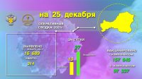 В Туве за сутки 13 новых случаев заболевания COVID-19. С начала года он стал причиной смерти 314 человек