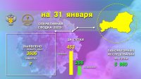 В Туве за прошедшие сутки диагностировано 2 новых случая смерти от COVID-19, и 453 новых случая заражения