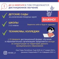 В Туве дистанционное обучение в школах и ссузах продлено еще до 14 февраля