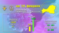 В Туве за неделю суточная заболеваемость COVID-19 сократилась на 60%