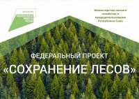 В 2022 году в Туве будут восстанавливать лес на 8700 гектарах