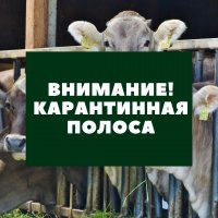 В Туве вдоль границы с Монголией действует карантинная полоса