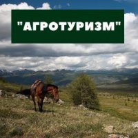 Кожууны Тувы претендуют на федеральный грант «Агротуризм» 