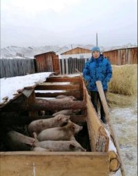 Жители Тувы чаще всего оформляют соцконтракты на личные подсобные хозяйства