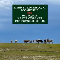 Минсельхозпрод Тувы компенсирует фермерам расходы на страхование сельхозживотных