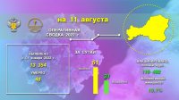 В Туве число заболевших коронавирусом за последние сутки достигло 51 случая