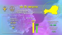 В Туве за сутки выявлено на 62 новых случая COVID 19 больше, чем накануне