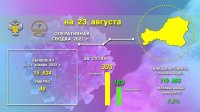 В Туве за сутки выявлено 303 новых случая заболевания COVID-19