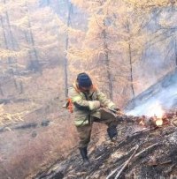 В Туве потушили все лесные пожары