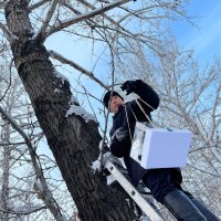 "Добрые сердца Тувы" развесили эко-кормушки для птиц в Национальном парке