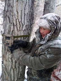 Редчайшее животное планеты - снежный барс прогулялся в Чаа-Хольском районе Тувы