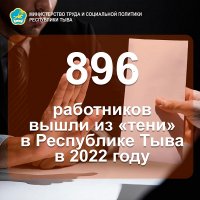 В Туве почти 900 человек сменили нелегальную деятельность на официальную занятость