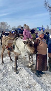 В Туве прошло один из ярких и масштабных мероприятий - фестиваль оленеводов