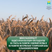 Минсельхоз Тувы определил перечень семейных ферм, которые получат поддержку государства в этом году