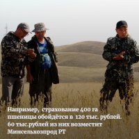 Минсельхоз Тувы напоминает аграриям о возможности возместить половину затрат на страховку урожая