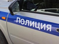 В Туве бдительные покупатели лошадей разоблачили конокрада