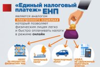 Жители Тувы могут накопить средства на уплату налогов через единый налоговый счет