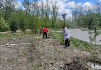 «Серебряные волонтеры» посадили хвойные саженцы в Национальном парке Тувы