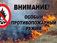 В Туве отменили режим «ЧС» в лесах регионального значения