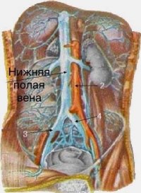 Кызылский хирург Артыш Ондар провел в Танды экстренную сложную операцию