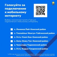 У жителей Тувы осталось два дня чтобы успеть проголосовать за проведение интернета в села