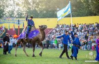 Владислав Ховалыг: «Наадым – прославляет древние трудовые традиции тувинского народа»