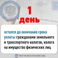 Налоговая Тувы напоминает об обязанности оплатить налоги до 1 декабря