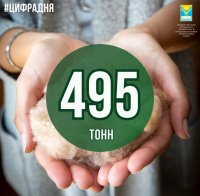 495 тонн шерсти сдали животноводы Тувы