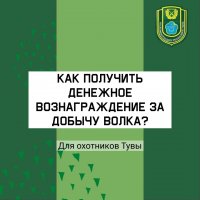 Госкомохотнадзор Тувы напомнил охотникам о вознаграждении за добычу волка