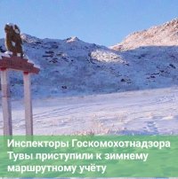 В Туве приступили к ежегодному подсчету диких животных в республике