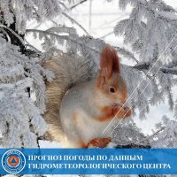 31 января в Туве прогнозируется понижение температуры до - 43°С