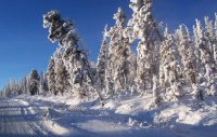 В Туве вновь прогнозируется понижение ночных температур до -41°С