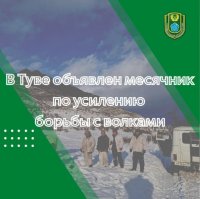 В Туве проходит месячник по борьбе с волками