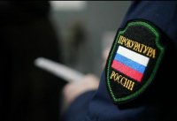 Жителю Тувы грозит крупный штраф за заготовку дров в лесу в период противопожарного режима