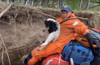 В Туве сотрудник МЧС во время рейда спас из воды маленького ягненка