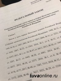 Сенатор Дина Оюн приняла участие в обсуждении изменений в Налоговый кодекс на площадке Общественной палаты России