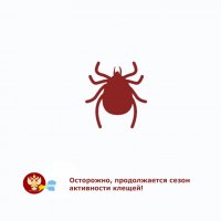 В Туве с начала года 879 случаев присасывания клещей, за последнюю неделю - 23