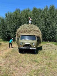 Среди бригад ручных косарей - заготовщиков кормов в Туве объявлен конкурс. Лучшие получат от 100 до 300 тысяч рублей