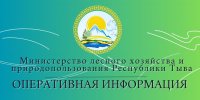 Посредник в передаче взяток на 1 млн 200 тыс рублей главе Минлесхоза Тувы предстанет перед судом